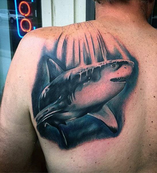 tatuaje tiburon 215