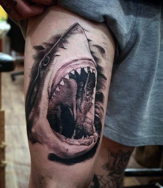 tatuaje tiburon 242