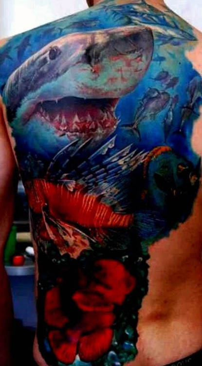 tatuaje tiburon 263