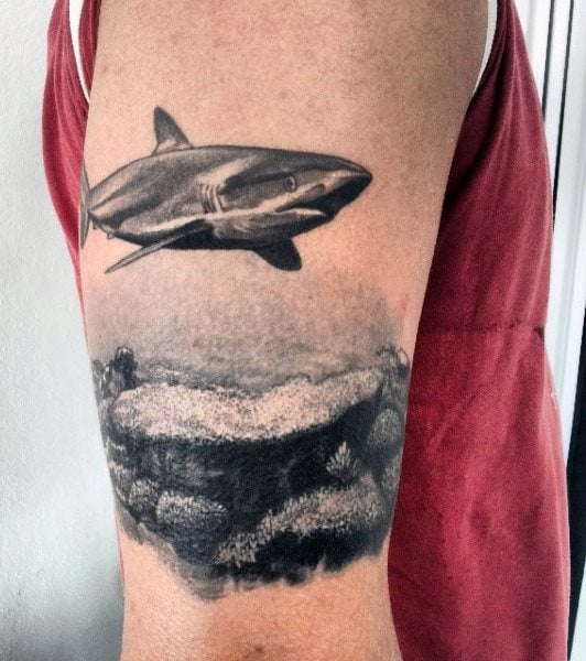 tatuaje tiburon 290