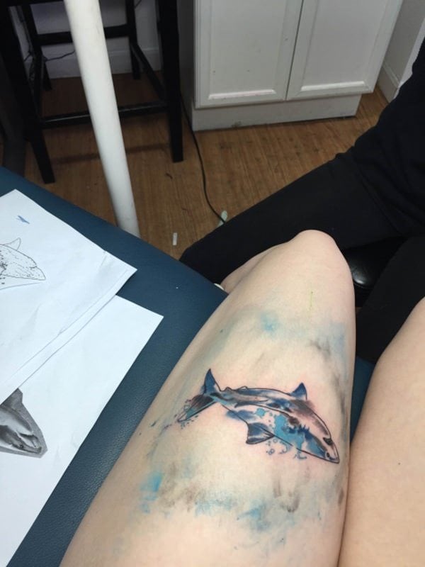 tatuaje tiburon 50
