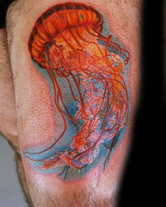tatuaje medusa 141