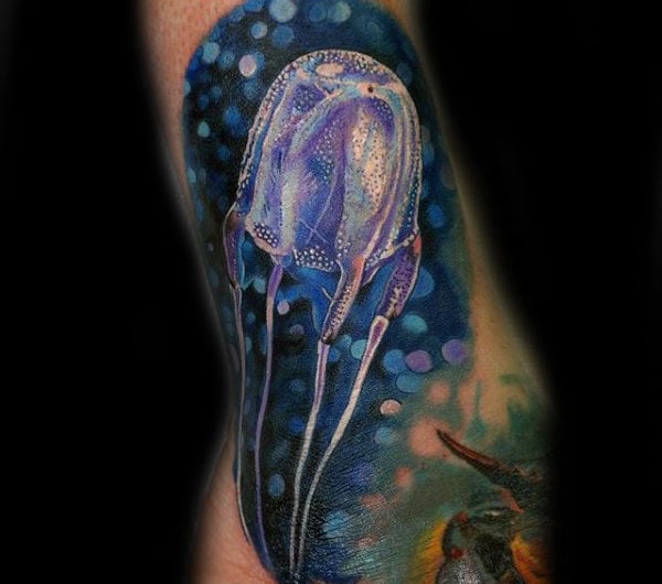 tatuaje medusa 153