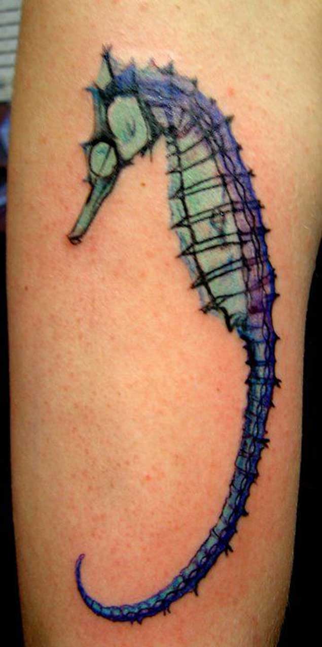 tatuaje caballito de mar 260