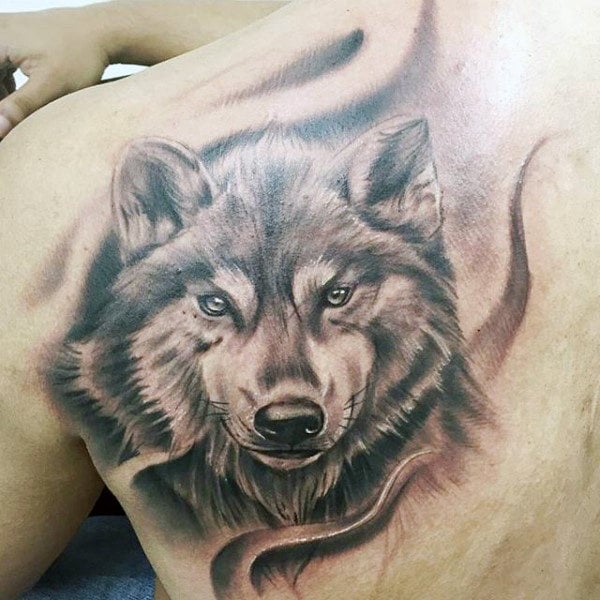tatuaje lobo en espalda 11