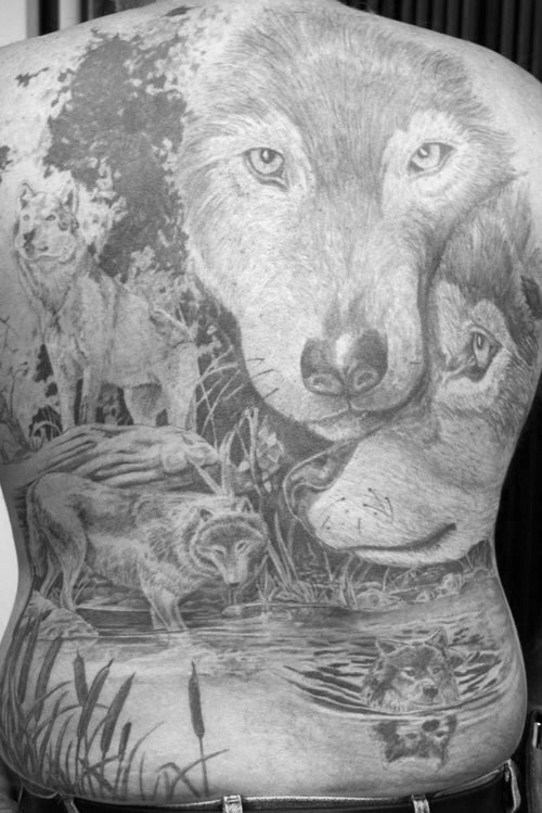 tatuaje lobo en espalda 27