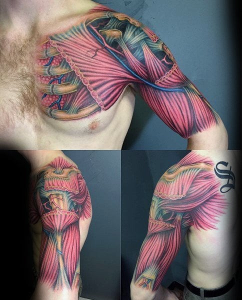 tatuaje anatomico 09