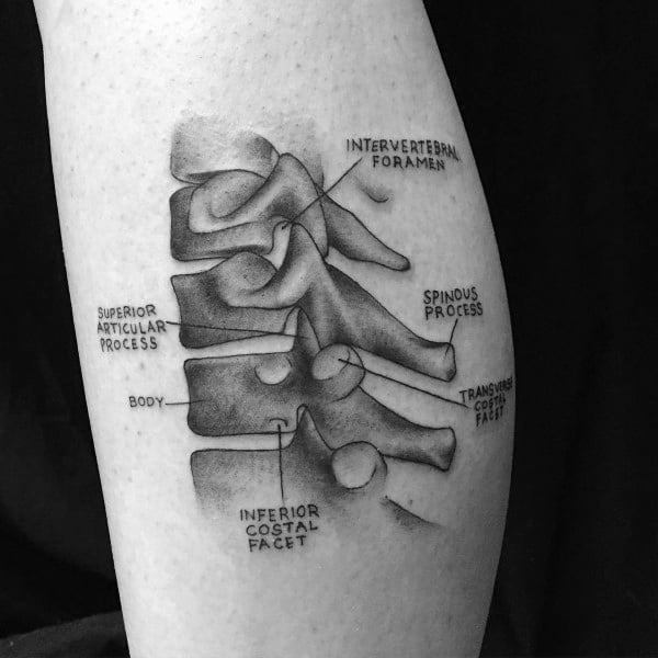 tatuaje anatomico 33