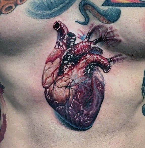 tatuaje anatomico 71