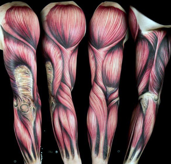 tatuaje anatomico 77