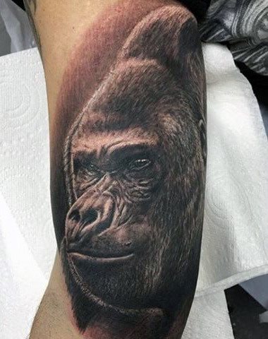 tatuaje gorila 247