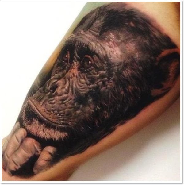 120 Tatuajes de monos (Con su significado)