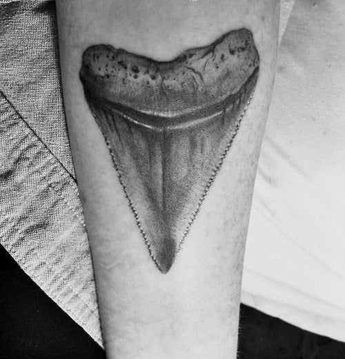 tatuaje mandibula diente tiburon 13