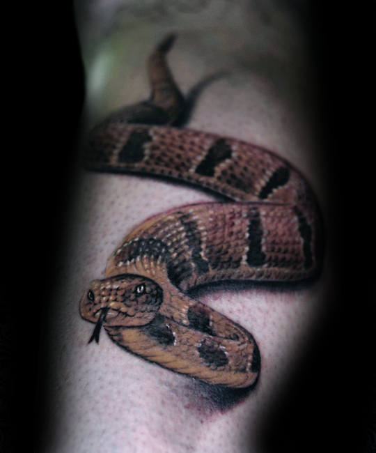 tatuaje 3d serpiente 45