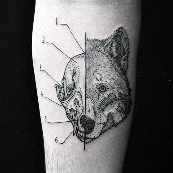 70 Tatuajes de calaveras de lobo: Simbología y significado