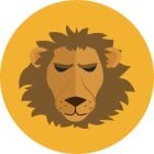 Lion-Lion : Compatibilité amoureuse, amitié, au lit