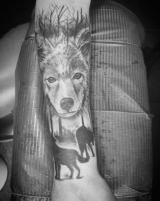 tatouage coyote 77