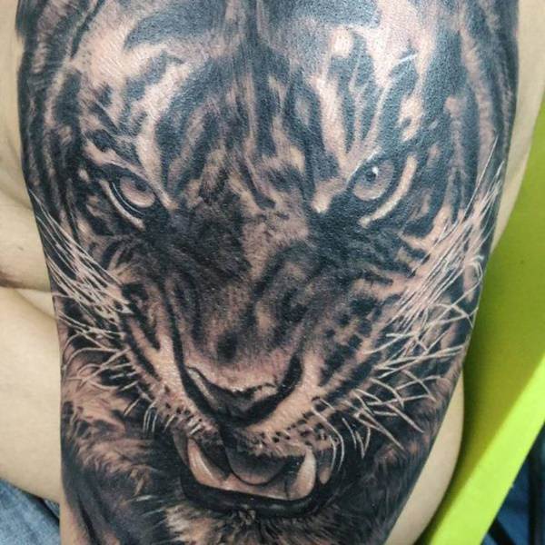 tatouage tiger 238