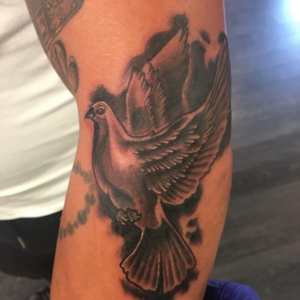 tatouage colombe 44