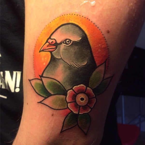 tatouage colombe 66
