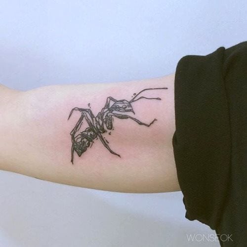 tatouage fourmis 110