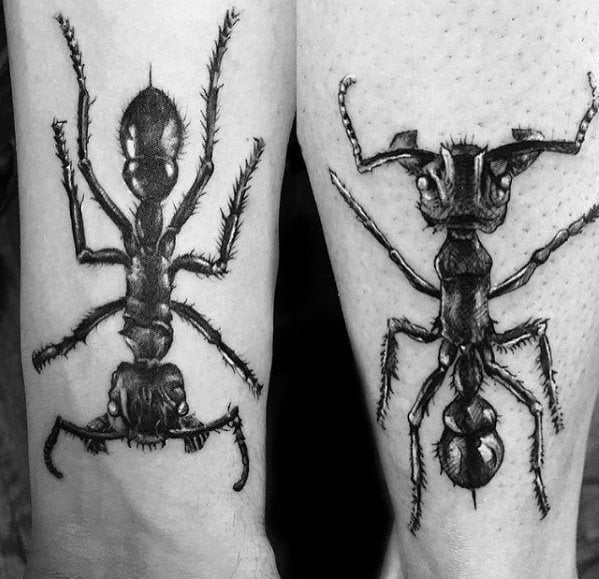 tatouage fourmis 136