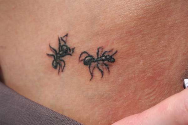 tatouage fourmis 188