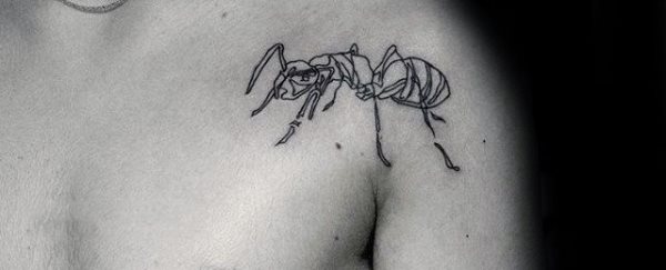 tatouage fourmis 24