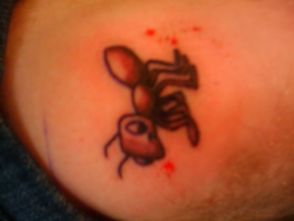 tatouage fourmis 32