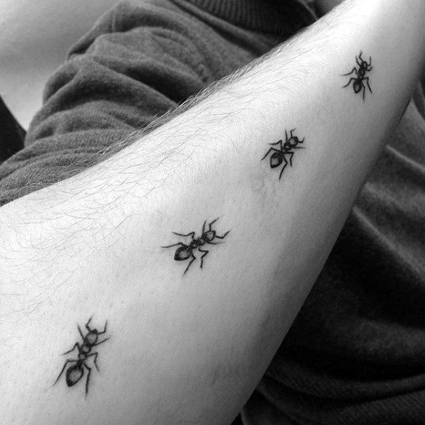 tatouage fourmis 50