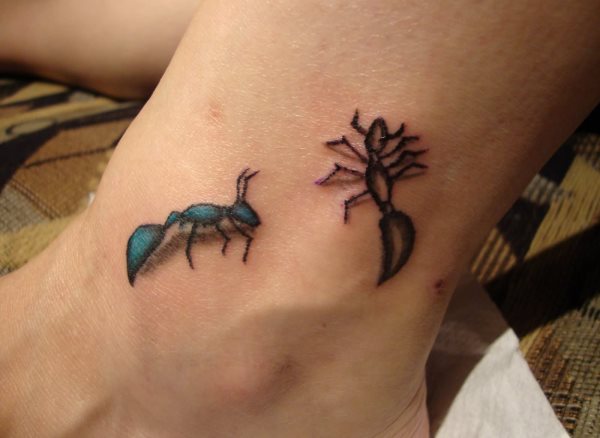 tatouage fourmis 62