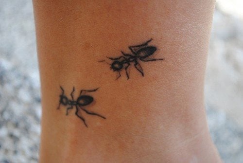 tatouage fourmis 70