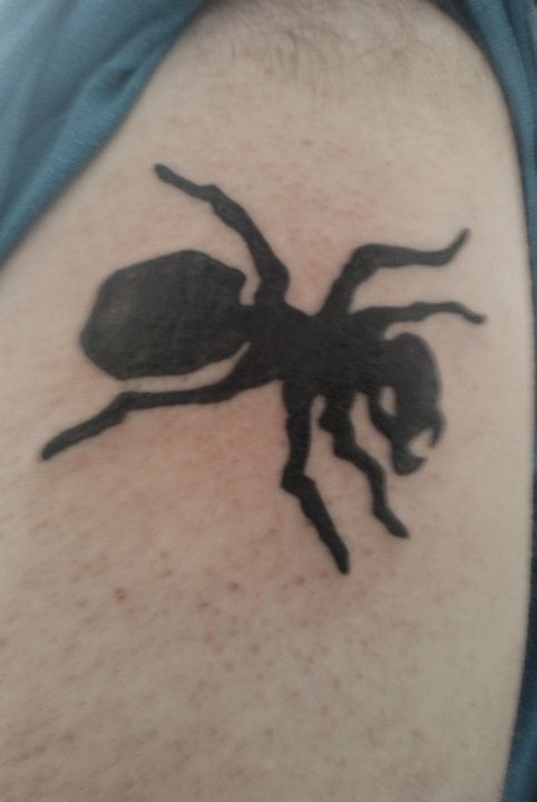 tatouage fourmis 80