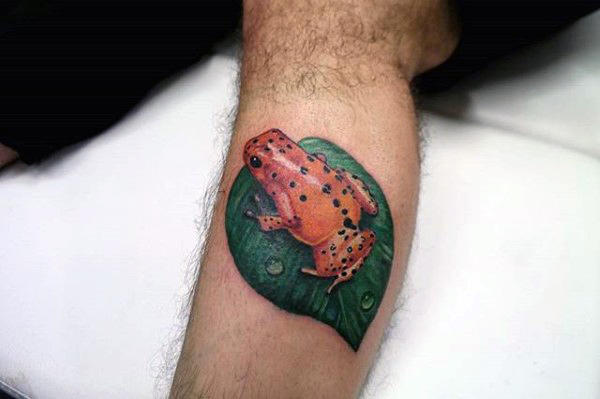 tatouage grenouille 172