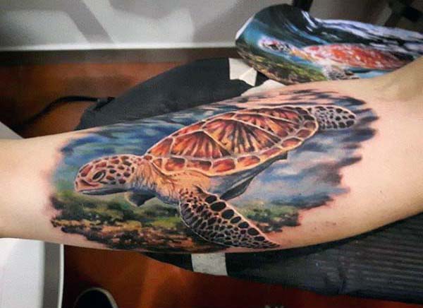 tatouage tortue 34