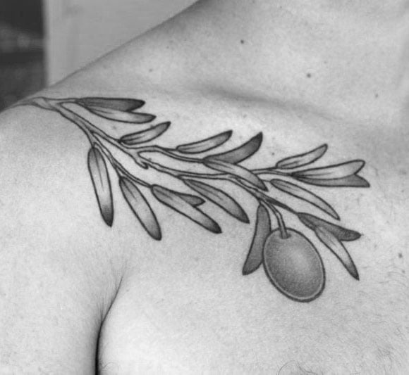 tatouage rameaux oliviers 07