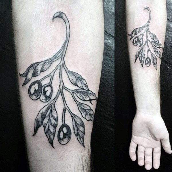 tatouage rameaux oliviers 109