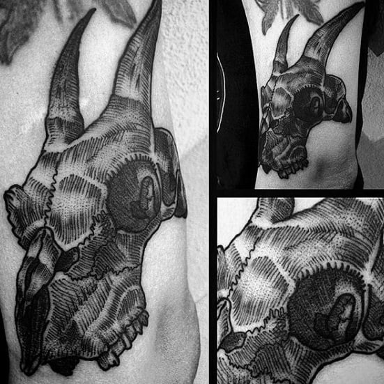 tatouage crane de chevre 08