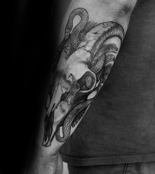 tatouage crane de chevre 34