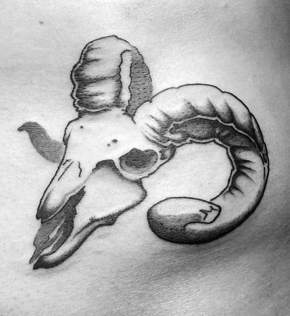 tatouage crane de chevre 68