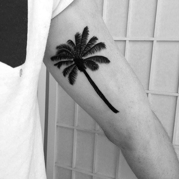 tatouage palmier 165