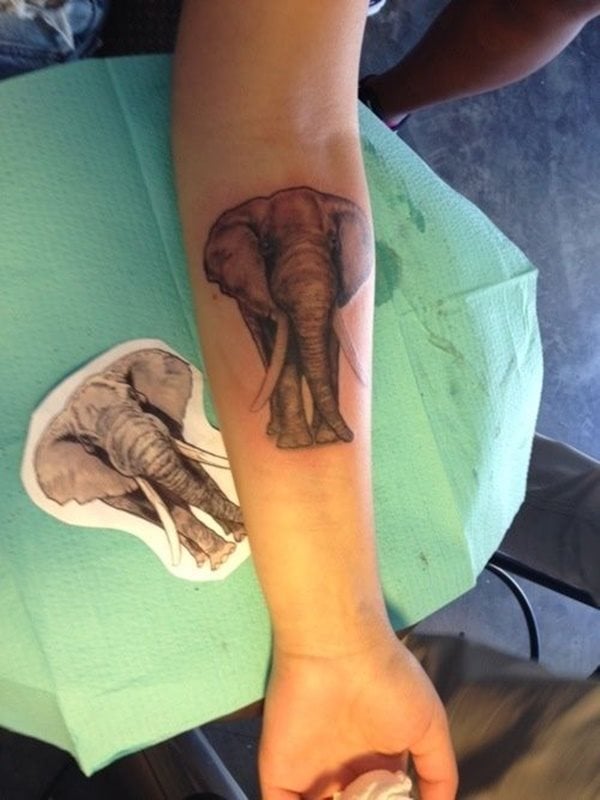 dessin tatouage elephant 1896