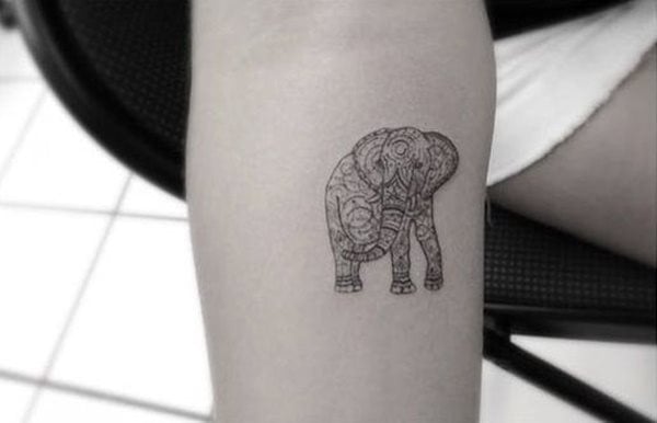 dessin tatouage elephant 2468