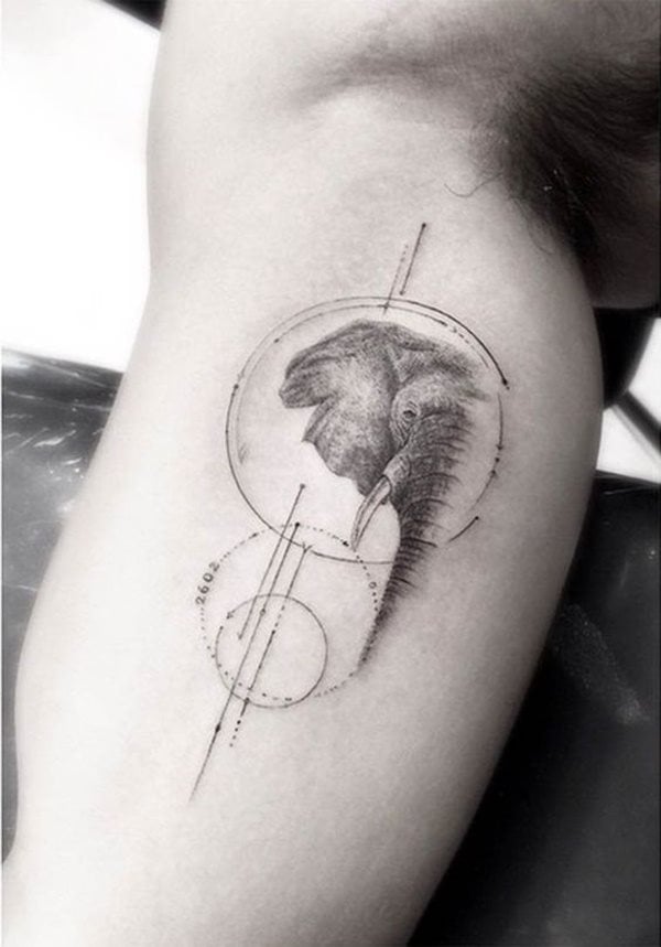 dessin tatouage elephant 2754