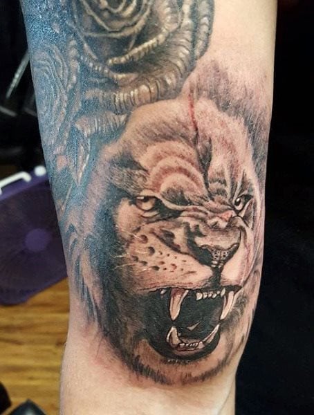 tatouage lion 258