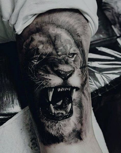 tatouage lion 687