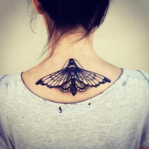 tatouage papillon 688