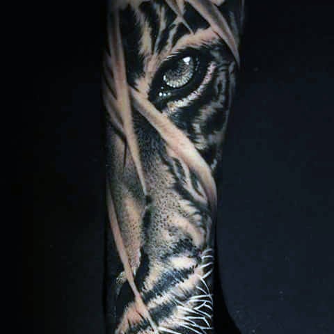 tatouage tigre 388