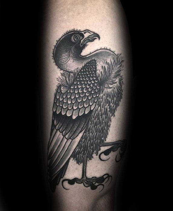 tatouage vautour 117