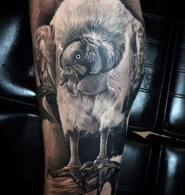 tatouage vautour 57